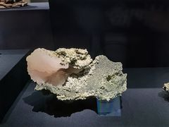 -山东博物馆