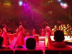 -珠海横琴长隆《卡卡虎奇遇记》