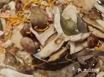 「鱼哥厨房野生菌火锅(湖泉公园店)」#野生菌火锅
