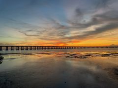 -宝安西湾红树林湿地公园