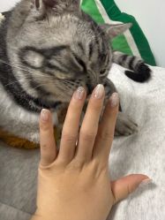 -晨·艺美甲美睫