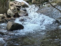 -广州市流溪河国家森林公园