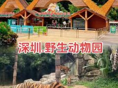 -深圳野生动物园