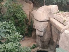 -南山植物园