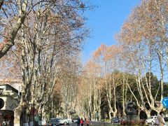 -浙江大学(玉泉校区)