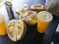 -沙巴希迪特酒店