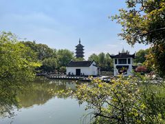 -红梅公园