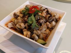 -张生记(丁香国际店)