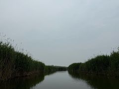 -白洋淀景区