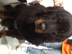 iphone_upload_pic-东浩兰生上海世博展览馆