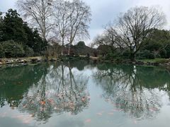 -西湖外事游船(花港观鱼码头)