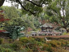 -申粤轩酒楼·三十年粤菜经典(丁香花园店)