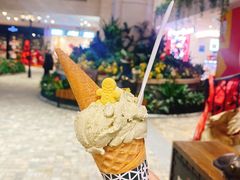 -Vola Gelato意大利手工冰淇淋(朝阳大悦城店)