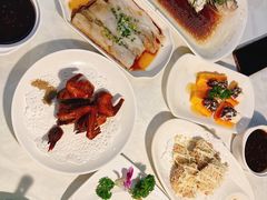 -云中小雅