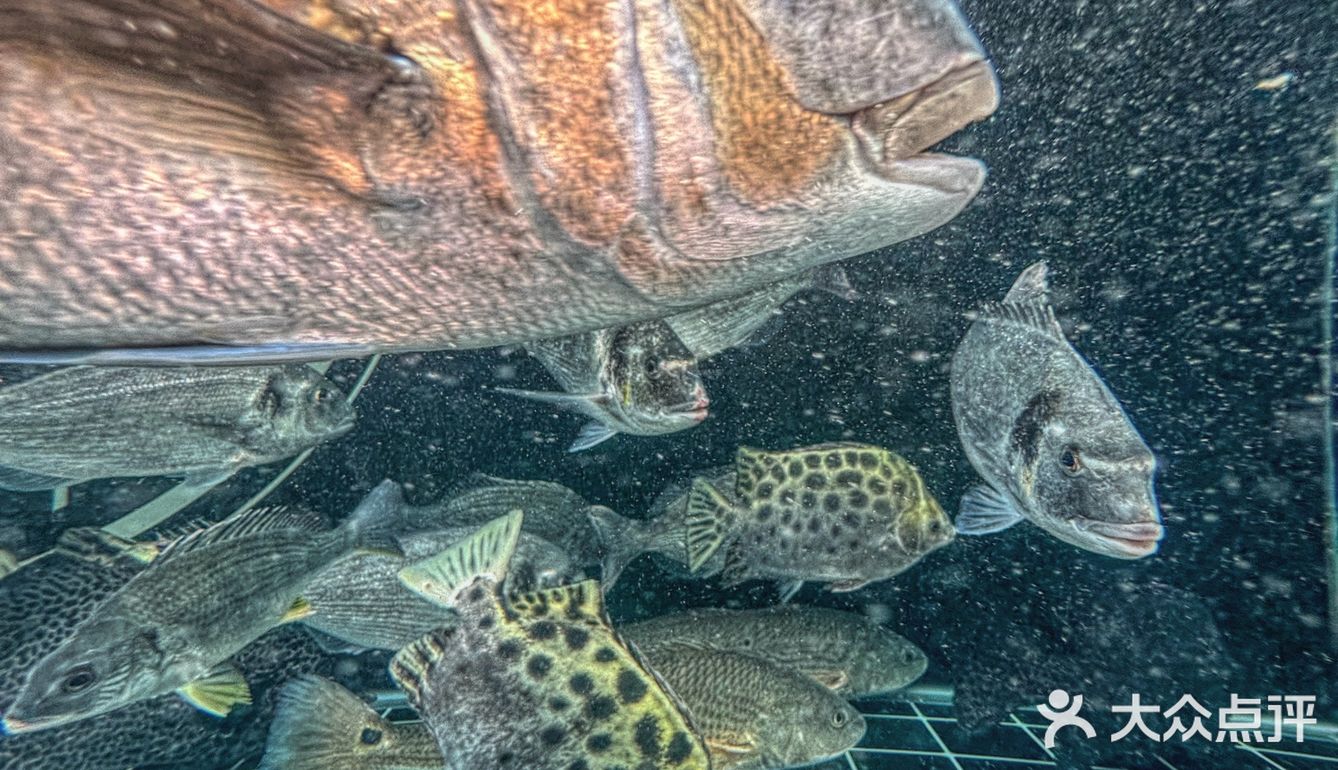 蔡澜没骗我！不是熟人带路，真难找来这里。