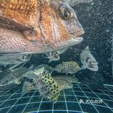 蔡澜没骗我！不是熟人带路，真难找来这里。