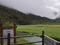 -稻城亚丁景区-冲古草甸