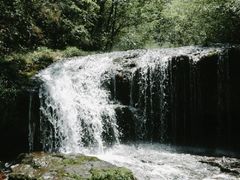 -龙苍沟森林公园