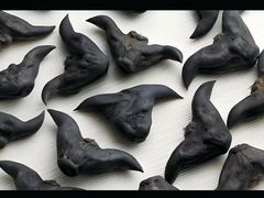 -老西关濑粉(文明路店)