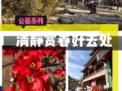 -陶然亭公园