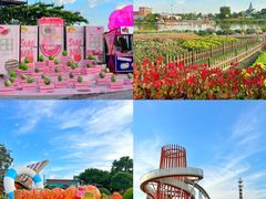 -荷兰花海