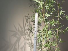 -绿茶餐厅(淮安吾悦广场店)