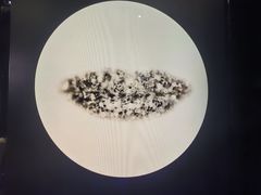 -大葉日本料理·龍蝦任食放題(廣州W酒店)