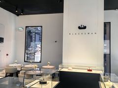 -BLACKSWAN黑天鹅(环球店)