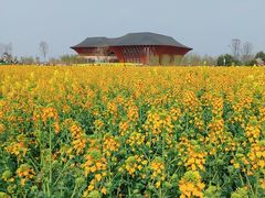 -中国天府农业博览园
