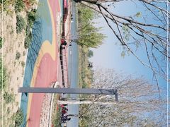 -东郊湿地公园