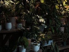 -自由生长植物工作室(深港花卉中心店)