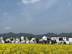 -东梓关景区村庄