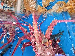 -四川小胡子海鲜(丁村万人海鲜广场店)