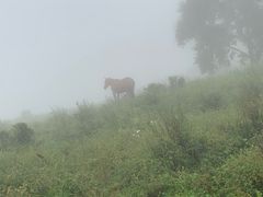 -灵山
