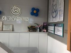 -关爱宠物医院·猫科中心·消化科(滨湖万达分院)