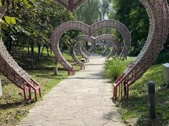 -莫子山公园