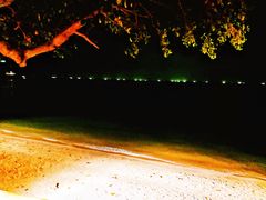 -卷心菜和避孕套餐厅(Pattaya)