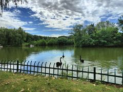 -北京野生动物园