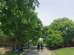 -广富林郊野公园