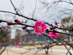 -金沙湖公园
