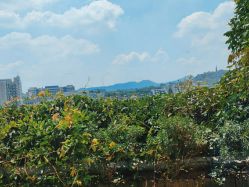 点击看大图 -罗亚帝·NASHOW纳秀形象设计