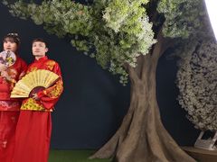-百万葵园