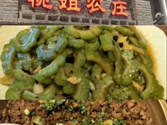-桃姐农庄老字号(增城分店)