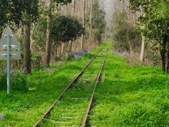 -合肥滨湖国家森林公园