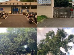 -浙江大学(玉泉校区)