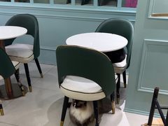 -安格丽娜·狗咖·猫咖羊驼咖(春熙路百盛商场店)