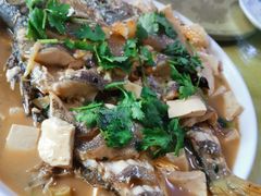 -煲来饱去冷水鱼