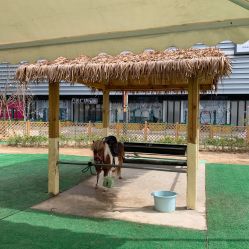 -萌宠亲子动物乐园(槐房万达店)