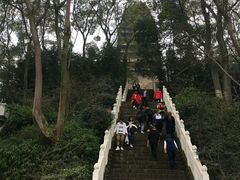 -乐山大佛风景名胜区乌尤寺南门-售票点