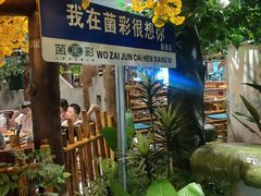 -菌彩云南野生菌火锅(新亚洲店)
